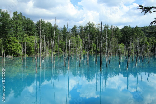 blue pond and reflection