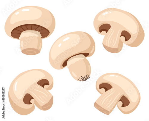 Cartoon champignon. Edible tasty ripe mushroom slices, delicious raw champignon mushrooms vector illustration set. Fresh champignon