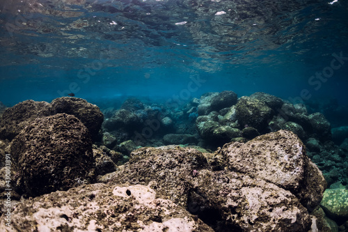 Underwater scene with corals, fish, rocks and sun rays.