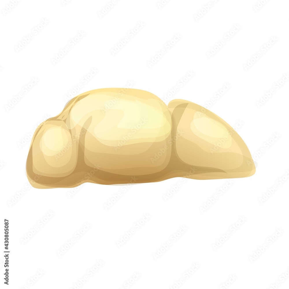 Obraz premium Seed durian icon, cartoon style