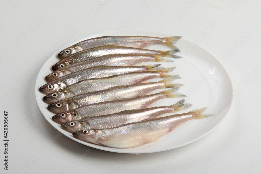 Fresh smelt fish on a white background, Small fish on a white plate. Smelt fishes (European smelt) isolated on white Fresh smelt fish on a white background, Small fish on a white plate. Smelt fishes (European smelt) isolated on white