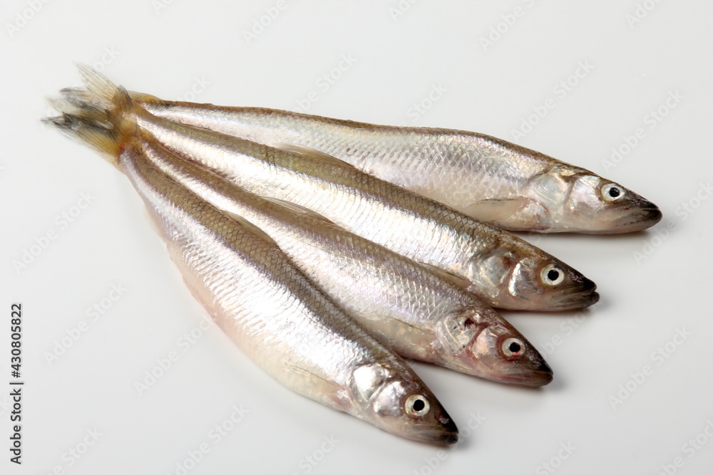 Fresh smelt fish on a white background, Small fish on a white plate. Smelt fishes (European smelt) isolated on white Fresh smelt fish on a white background, Small fish on a white plate. Smelt fishes (European smelt) isolated on white