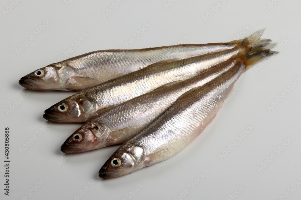 Fresh smelt fish on a white background, Small fish on a white plate. Smelt fishes (European smelt) isolated on white