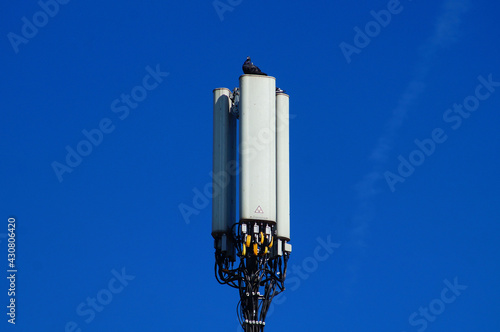 Foto A cell phone mast on a house roof in Frankfurt, with pigeons.