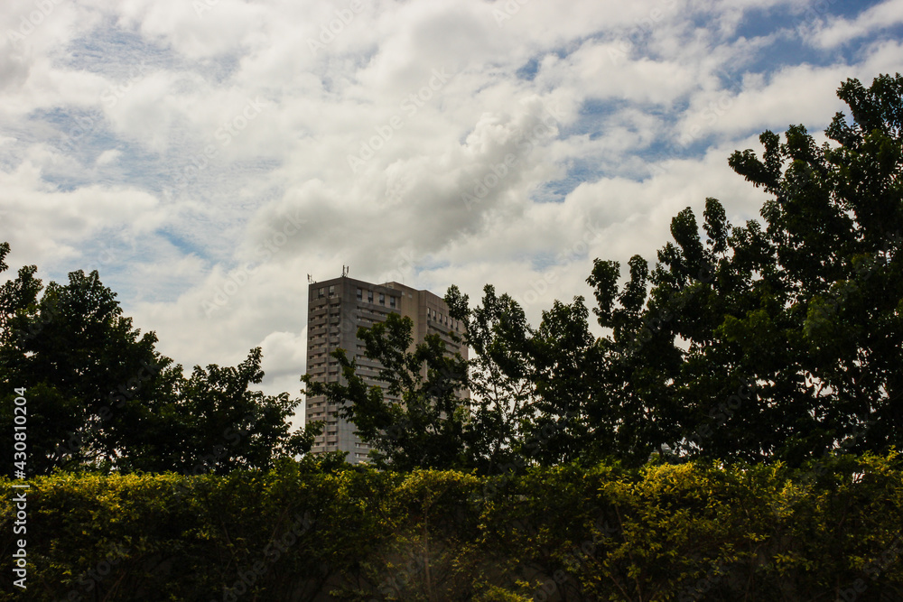 Interplay of elements of nature on a sunny day Interplay of elements of nature on a sunny day