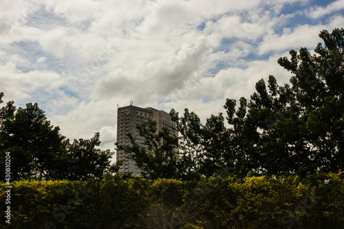 Interplay of elements of nature on a sunny day