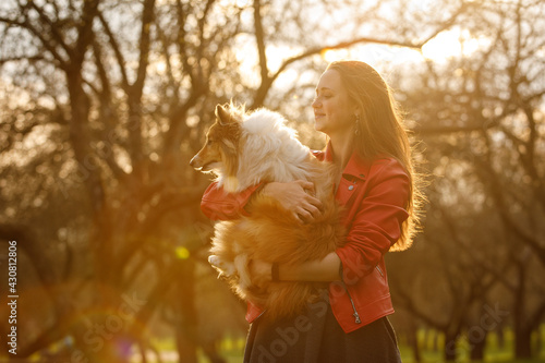 A dog with an owner in a park. photo