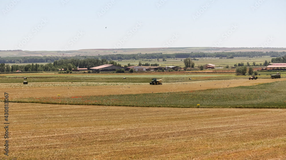 Landscape with a tractor in field, Southern France