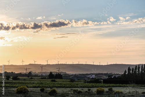 Wind turbines in the field at sunset, France
