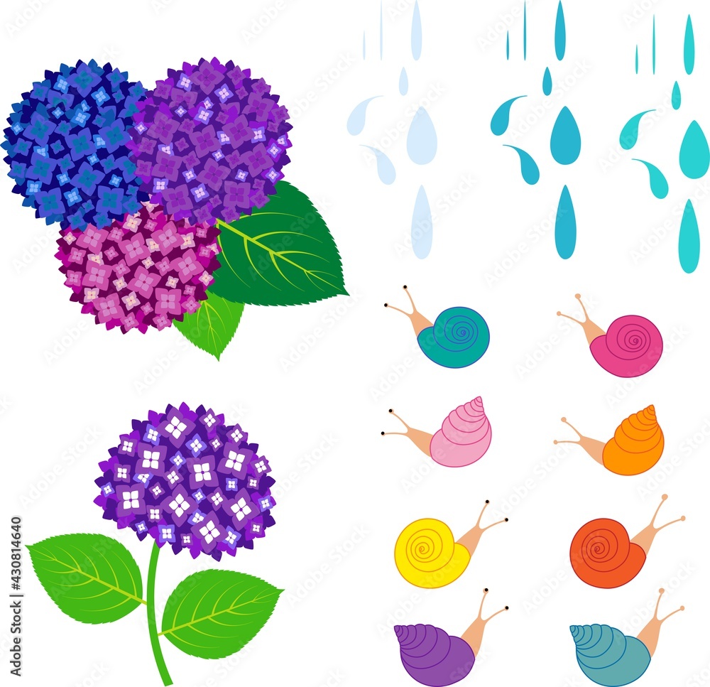 紫陽花の花とカタツムリと雨粒のイラスト素材セット Stock Vector Adobe Stock