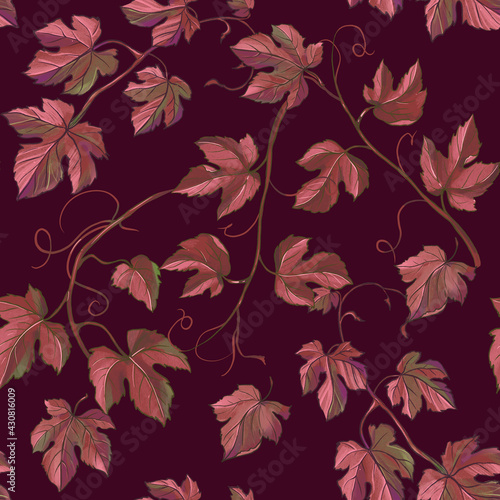 Grape seamless pattern. Botanical illustration. Background design