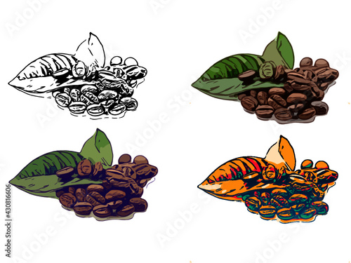 Raw coffee beans set of 4 designs