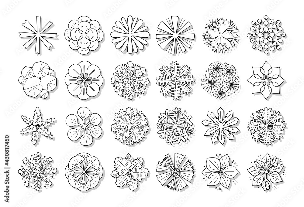 hand drawn vector set of top view tree isolated on white background.
hand drawn vector set of top view tree isolated on white background.