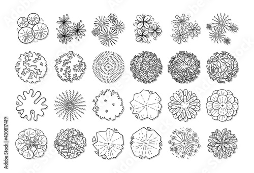 hand drawn vector set of top view tree isolated on white background.
