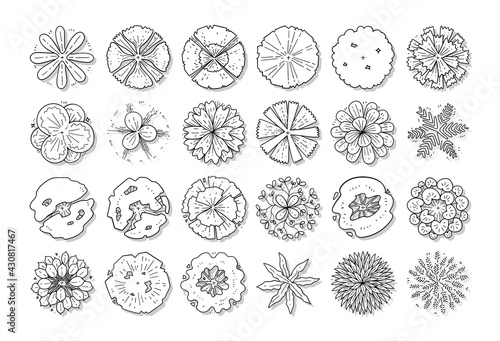 hand drawn vector set of top view tree isolated on white background.

