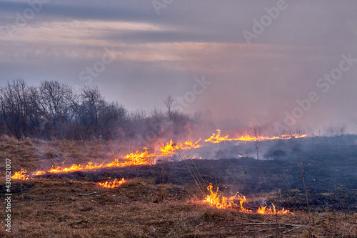 Dry grass burns on the field