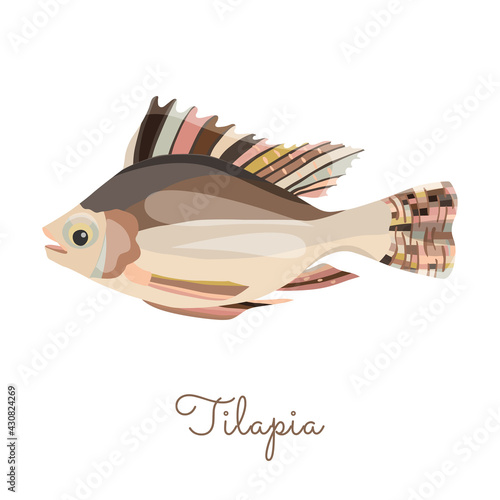 Single Tilapia in flat style isolated on white