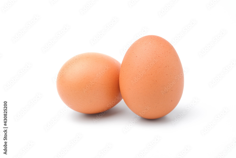 chicken egg isolated on white background chicken egg isolated on white background
