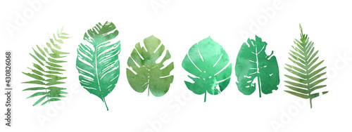 Set of watercolor tropical plants leaves.
