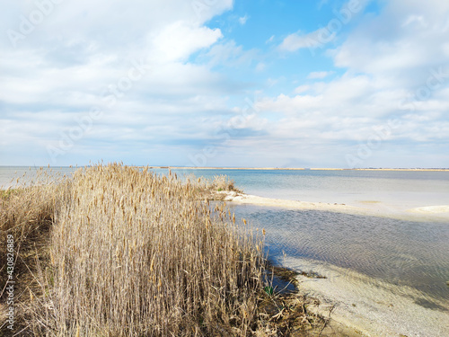 Fototapeta Naklejka Na Ścianę i Meble -  Panorama of beautiful grass sand dune beach with blu cloudy sky