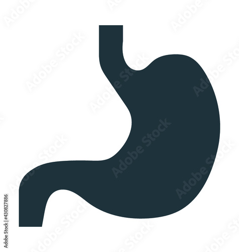 Stomach 