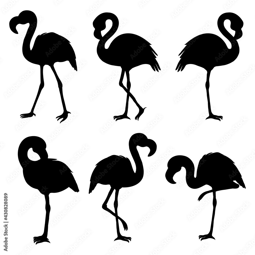 Obraz premium Flamingo isolated. Silhouette flamingo, decorative flat design element.
