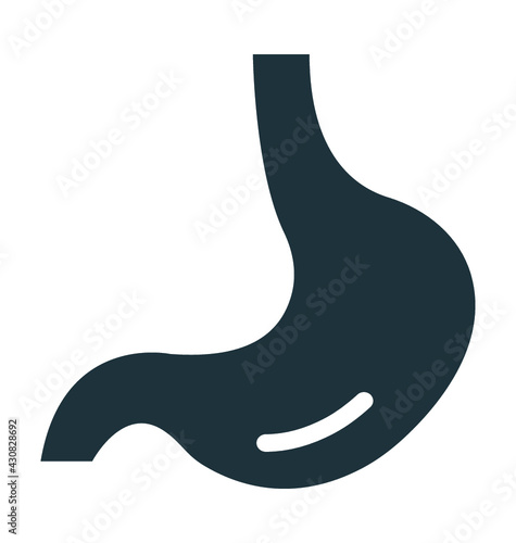 Stomach 