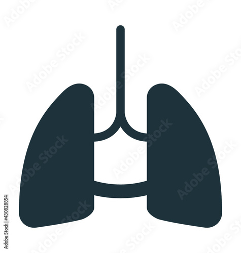 Human Lungs