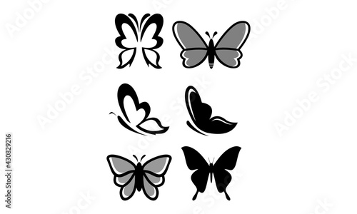 set templat package insect butterfly vector