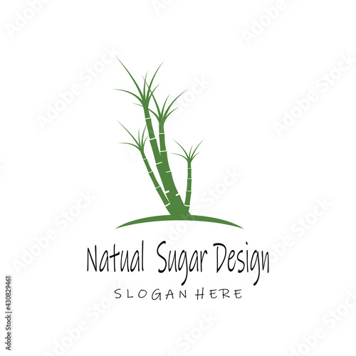 Sugar cane Logo Template vector symbol nature