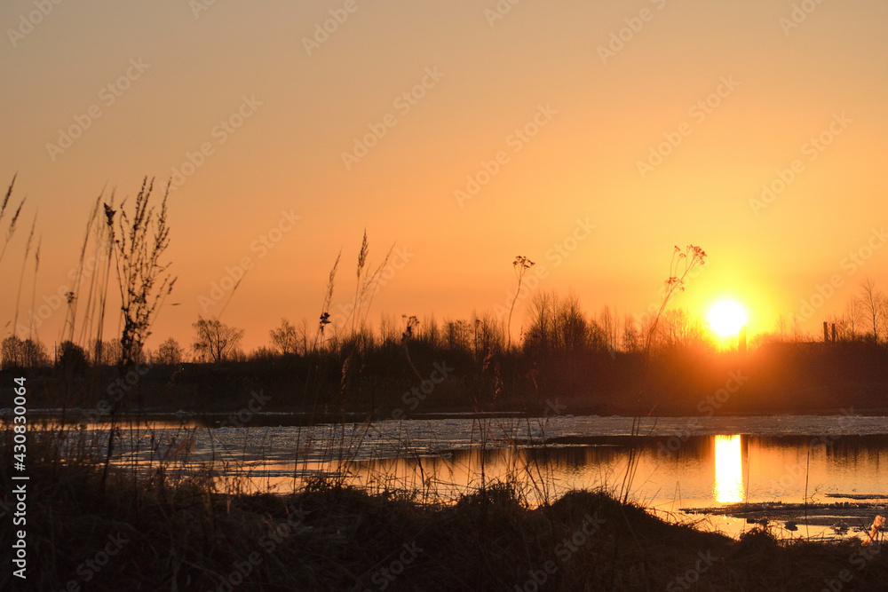 Spring landscape with a golden sunset sky reflected in cold water, silhouettes of bare trees and dry grass.