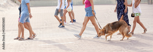 people strolling down the street in summer in their leisure time. View of the legs. Panoramic.