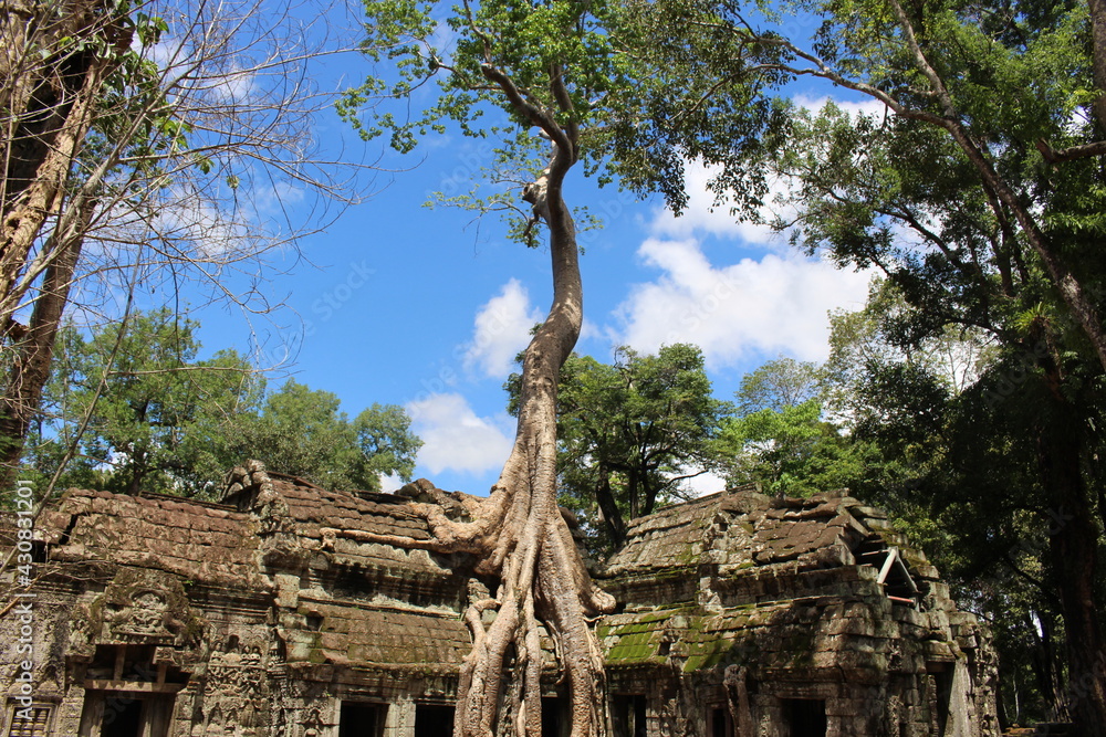 Fototapeta premium angkor wat temple cambodia phnom penh siem reap