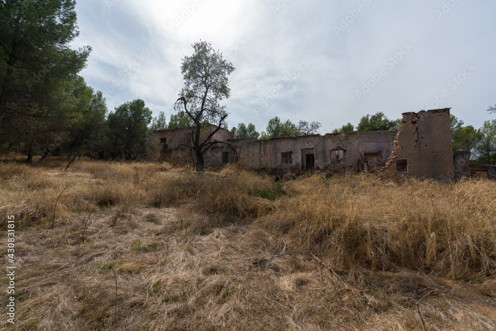ruined farmhouse in the forest in southern Spain