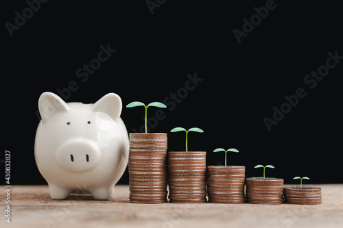 Saving money and business financial concept, white piggy bank and coin stacked of money with tree growing up look like graph to show step to keep money, plan for the future on black background.