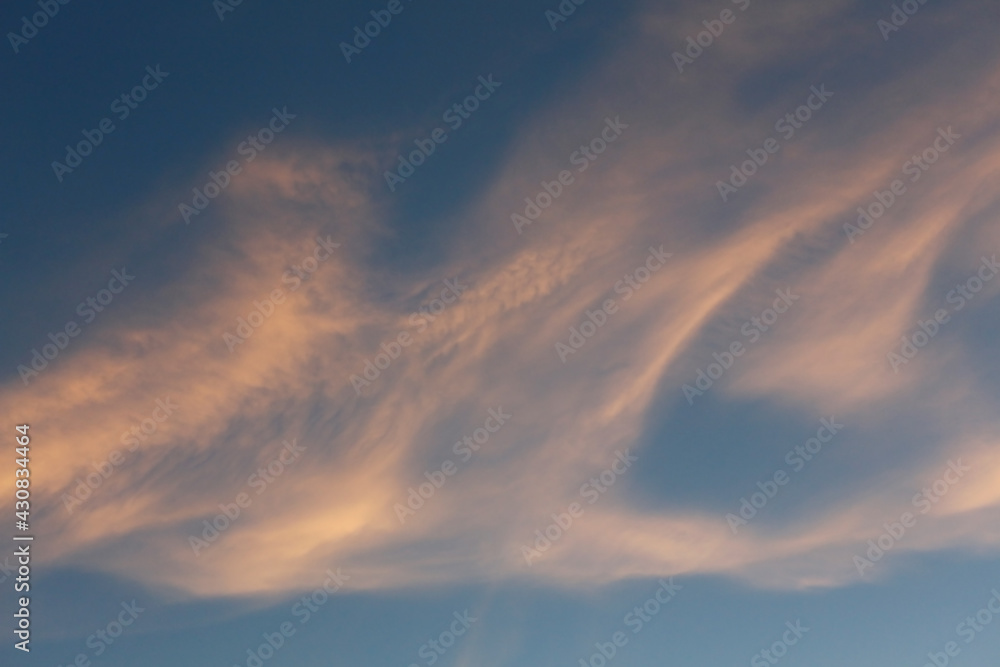 Fototapeta premium Blue sky clouds texture before sunset. Pink clouds of an unusual shape. Pattern and natural background