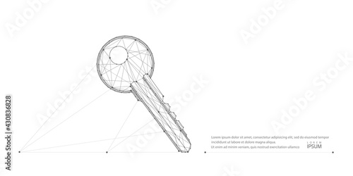 Key on white background .Data storage and protection.Polygonal wireframe key with dots, lines.vector illustration.