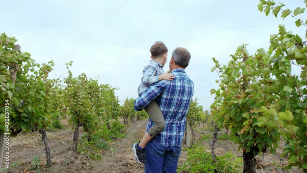 Good looking old man farmer and his nephew walking though the large vineyard grandpa take the nephew on the hand concept of organic farming and family business. Shot on ARRI Alexa Good looking old man farmer and his nephew walking though the large vineyard grandpa take the nephew on the hand concept of organic farming and family business. Shot on ARRI Alexa