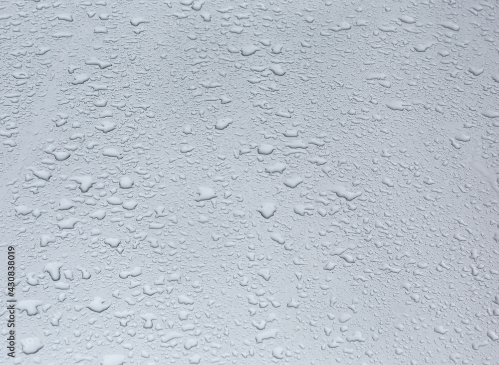 Rain water drops. Rain water drops.