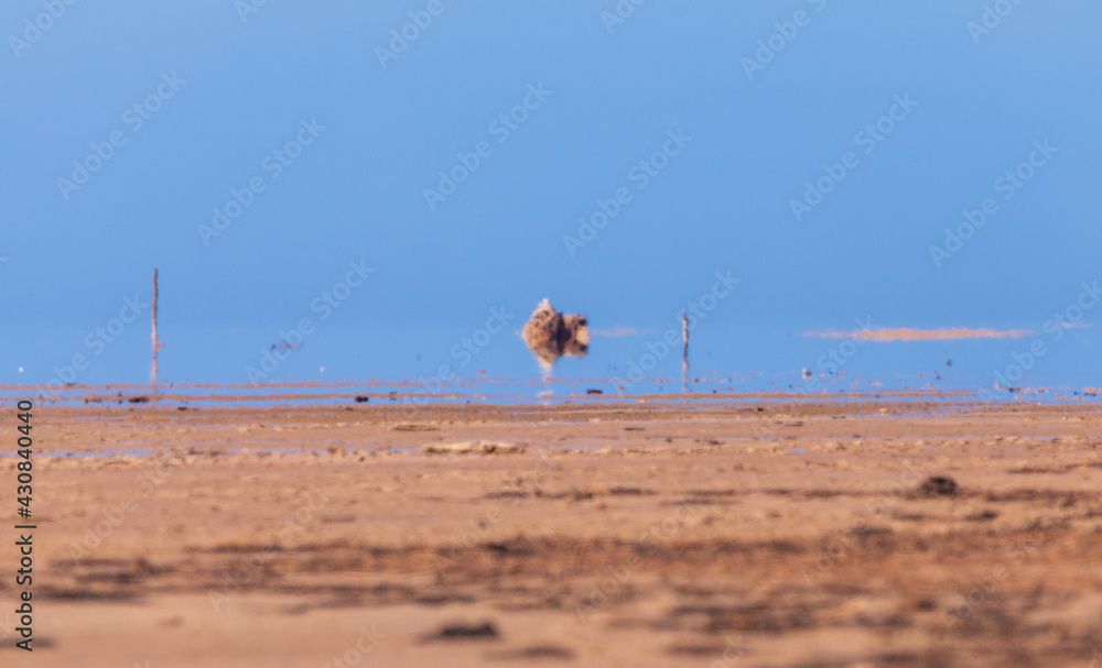 Foto Lindisfarne mirage