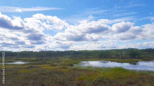 estonia swamp moor landscape nature trail national park