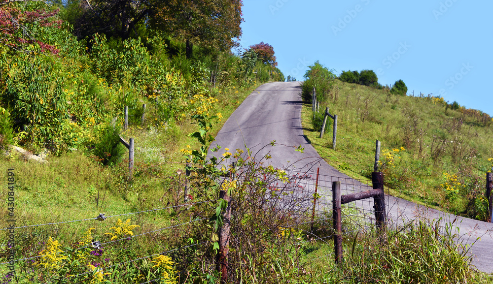 Fototapeta premium Narrow Country Road Curves and Disappears Over Hill