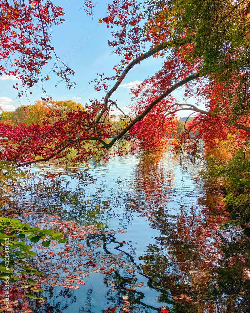 Colored leaves with a lake mirroring the colors in the park in Lyon. Autumn colors