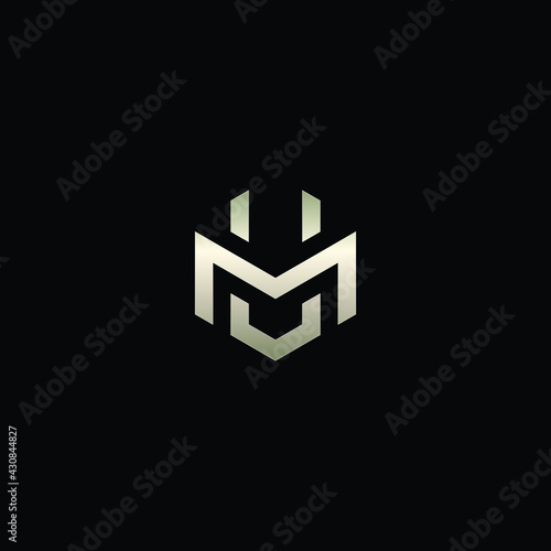 Hexagon Shape Logo with Letters MV, VM