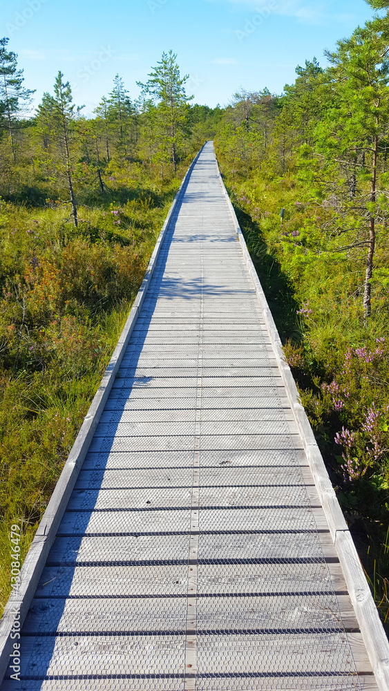 estonia landscape nature trail national park