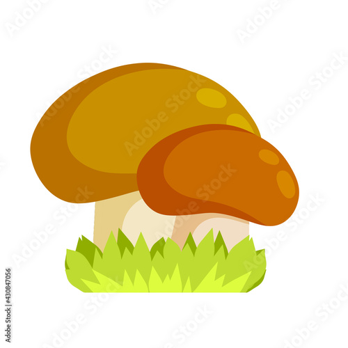 Boletus edulis - cep. Mushroom with a brown cap. Natural product from the forest with green grass. Flat cartoon illustration. Eco-friendly food