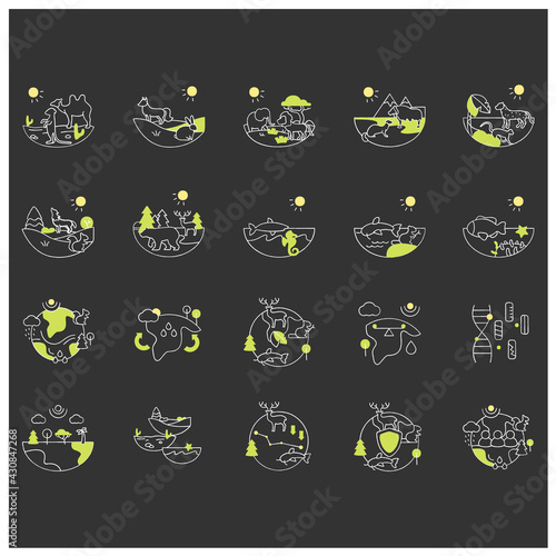 Biodiversity chalk icons set. Consists of desert, grassland, tundra, freshwater, rainforest, coral reef, ecosystem icons. Biodiversity concept. Isolated vector illustration on chalkboard
