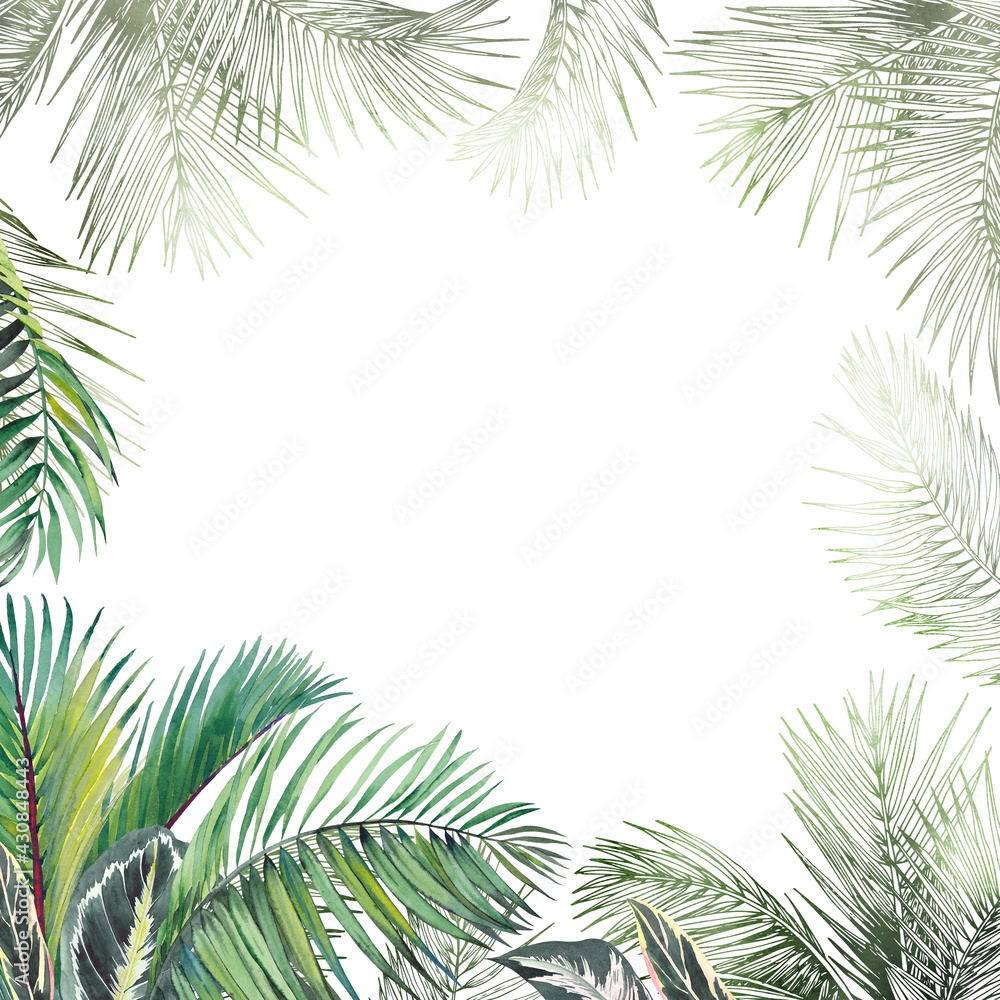 Tropical palm leaves frame. Watercolor and graphic illustration. Tropical palm leaves frame. Watercolor and graphic illustration.