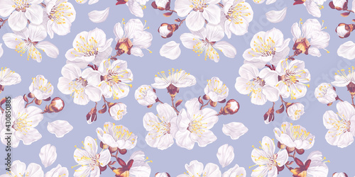 Seamless pattern with spring flowers of fruit trees on a light blue background. Apricot flowers realistic, vector plants for fabric, prints, gift cards, desktop wallpapers for computer. Surface design