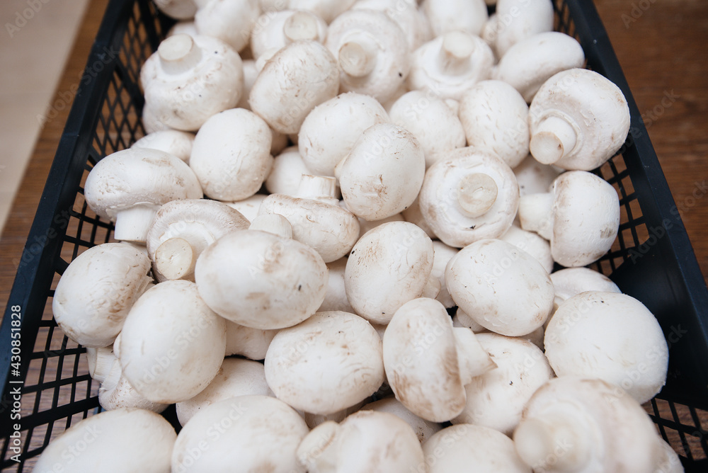 Ripe fresh mushrooms in a box in the warehouse after assembling a close-up. Ripe fresh mushrooms in a box in the warehouse after assembling a close-up.